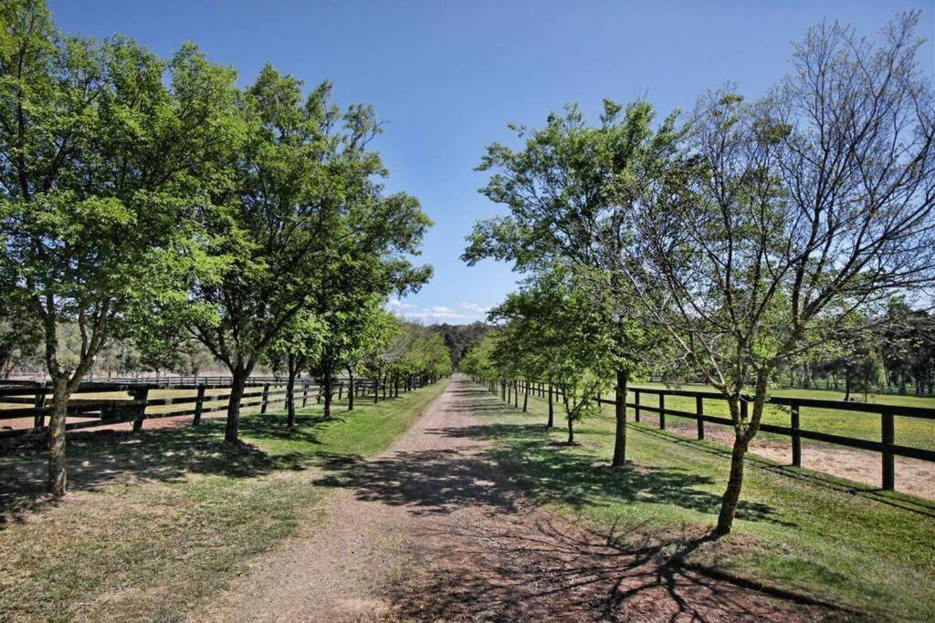 Centelle Park Farm Stay Kilmore East Eksteriør billede